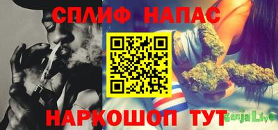 стаф Партизанск