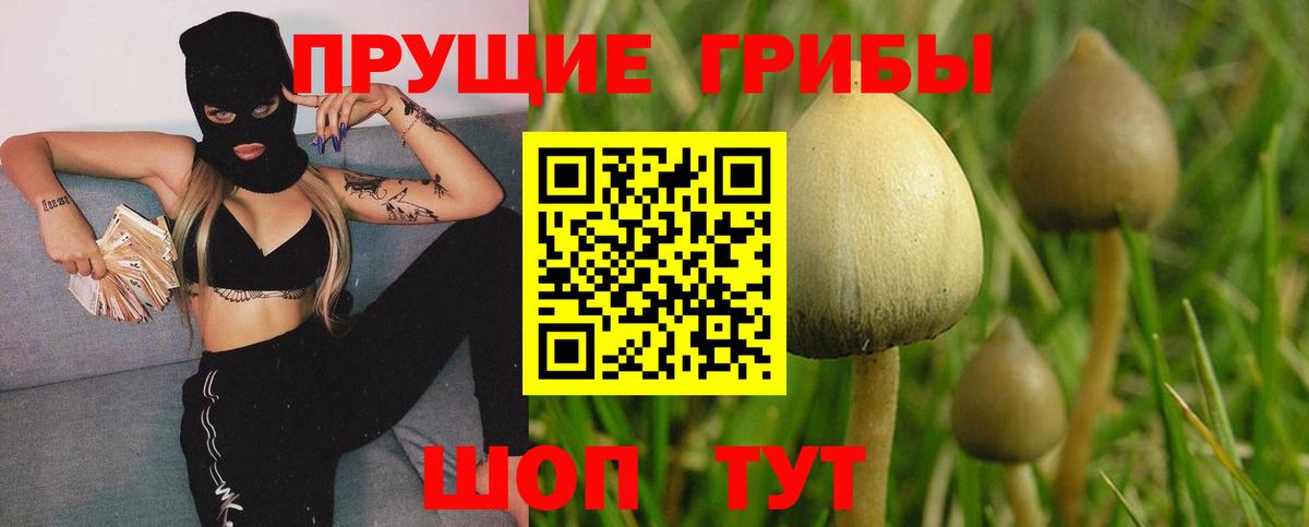 Галлюциногенные грибы GOLDEN TEACHER Сланцы